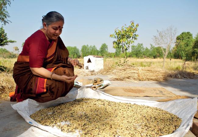 Seeds of Freedom (pel·lícula de Jess Phillimore, 2012)