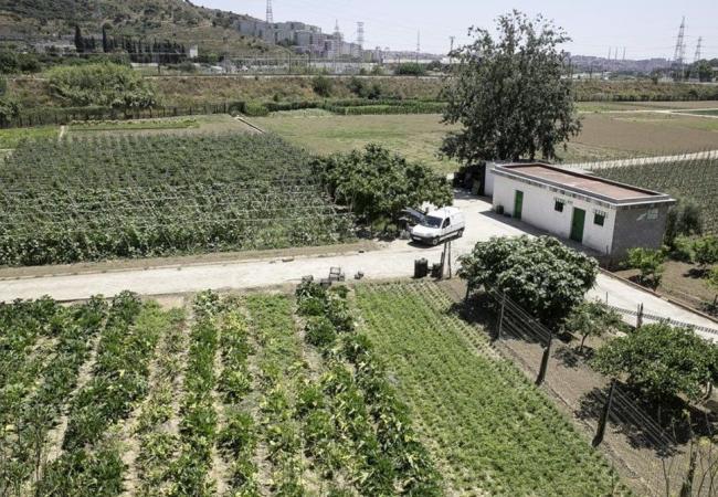 Vestigis i futurs de l’agricultura a Barcelona: la Ponderosa, el Rec Comtal i la Casa de l’Aigua