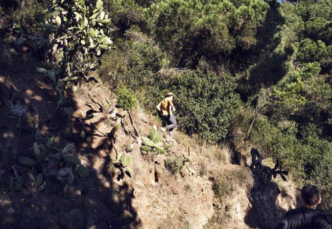 Foto rutes plantes comestibles Collserola