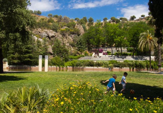 Plantes Gràcia