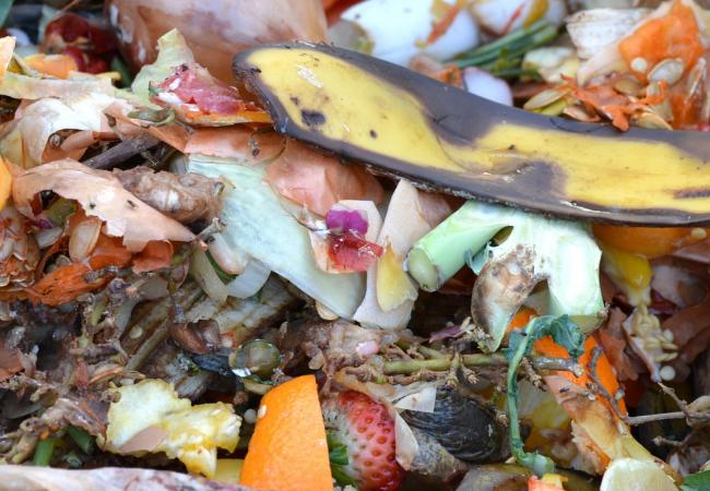 Menú d'idees per a una alimentació sostenible. Alternatives al malbaratament alimentari